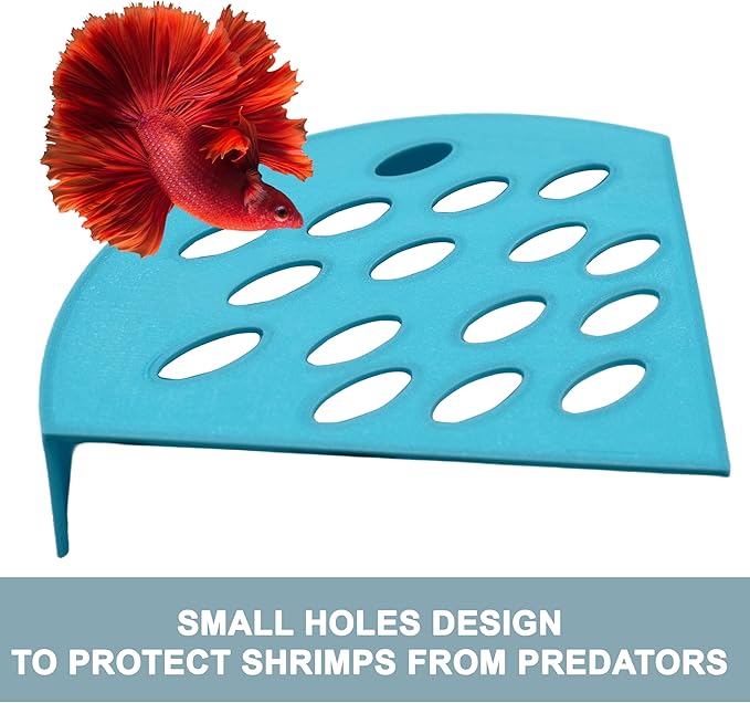 Corner Shrimp Guard to Prevent Predator Fish. Ultimate Breeding Protection for Shrimp in Betta Tank. Enhance Tank Harmony, 3.5" Diameter