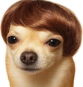 Dog Wig Pet Costumes, Cat Costume Synthetic Accessories Small Dog Headwear for Halloween Christmas Eve Festival Party Decor, Head Wear Apparel Toy (A)