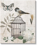 Stupell Industries Botanical Bird Cage Vintage Words Butterfly Motif Canvas Wall Art, Design By Nan