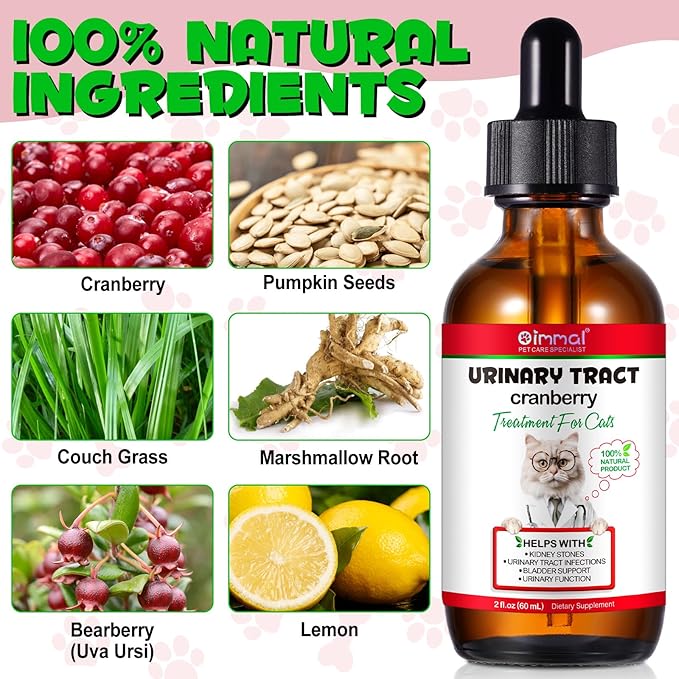 Feline Urinary Tract Health, Cat UTI Remedy, Natural Herbal Supplement, Supporting Regular Care for Urinary Health 2 fl oz