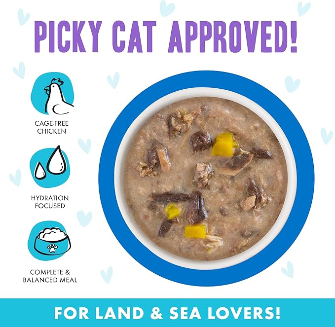 Weruva B.F.F. OMG - Best Feline Friend Oh My Gravy!,Love Munchkin! with Chicken & Pumpkin in Gravy Cat Food,5.5oz Can,(Pack of 16)
