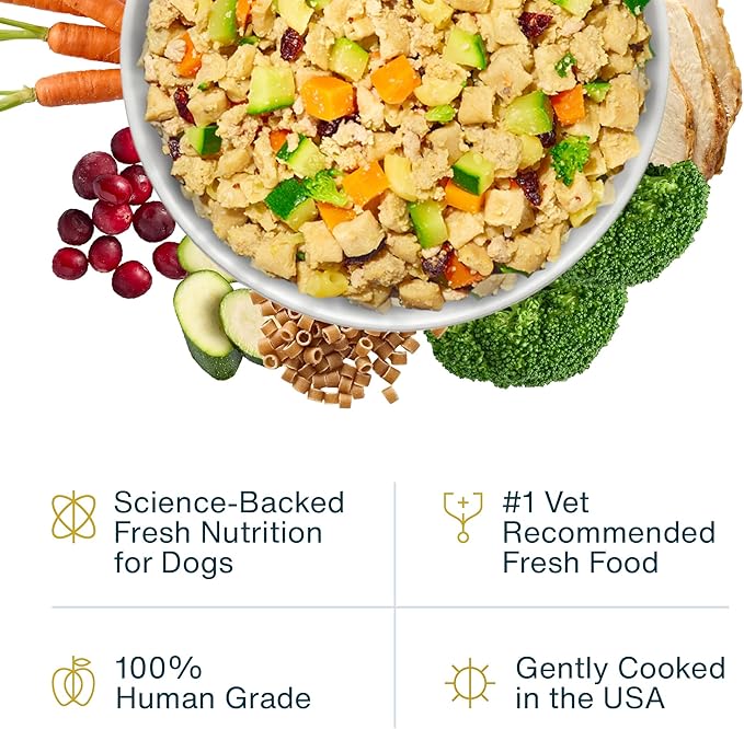 JustFoodForDogs Pantry Fresh Wet Dog Food Complete Meal or Dog Food Topper, Turkey & Whole Wheat Macaroni Human Grade Dog Food Recipe - 12.5 oz (Pack of 12)