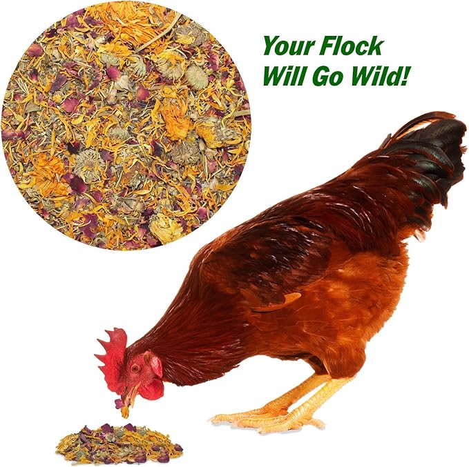 Exotic Nutrition Egg-Cellent (2oz) - Healthy All-Natural Chicken Nesting Herbs - Natural Flowers, Herbs & Calcium Carbonate - Promotes Healthy Chickens & Eggs (2 oz)