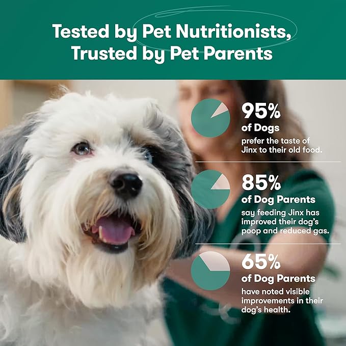 Jinx Premium Dry Dog Food, for All Life-Stages - Real Salmon, Brown Rice & Sweet Potato Kibble with Superfoods for Immune Support & Probiotics for Digestive Support - No Fillers – 4lb