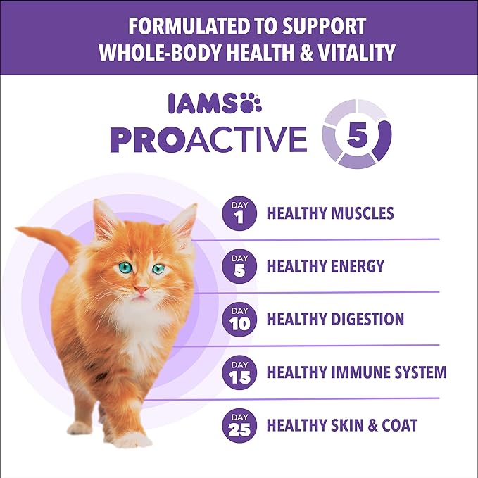 IAMS Proactive Health Healthy Kitten Dry Cat Food Salmon Recipe, 16 lb. Bag