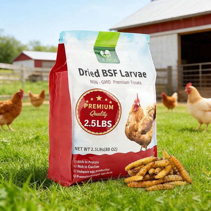 DE AVILA 2.5LB Dried Black Soldier Fly Larvae for Chickens Bulk, Non GMO 86X High Calcium Grubs Than Meal Worms for Laying Hens,100% Natural BSF Larvae for Chicken Wild Bird Treats