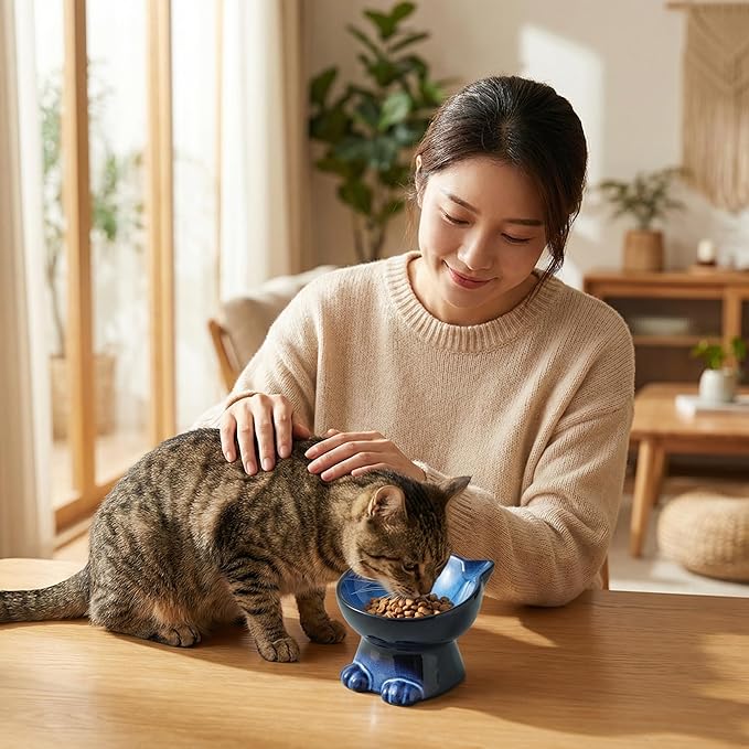 Nihow Slanted Elevated Cat Bowls: 5 Inch Ceramic Raised Cat Food Bowl for Protecting Pet's Spine - Microwave & Dishwasher Safe -Elegant Blue & Black (4.5 OZ /1 PC)