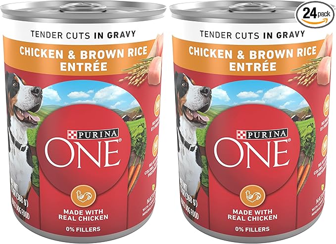Purina ONE Natural High Protein Dog Food, Tender Cuts in Gravy Chicken and Brown Rice Entrée - 13 Ounce (Pack of 24)