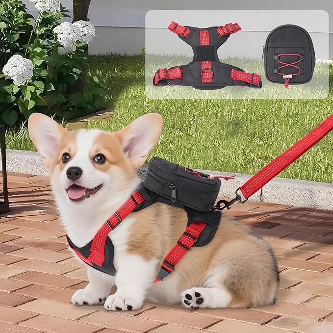 Dog Backpack Harness for Small and Medium Dogs, Adjustable Lightweight Bag with Detachable Backpack and Leash, Poop Bag Dispenser, Water Resistant for Hiking, Travel, Training, and Daily Walks, L