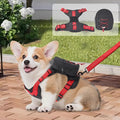Dog Backpack Harness for Small and Medium Dogs, Adjustable Lightweight Bag with Detachable Backpack and Leash, Poop Bag Dispenser, Water Resistant for Hiking, Travel, Training, and Daily Walks, L