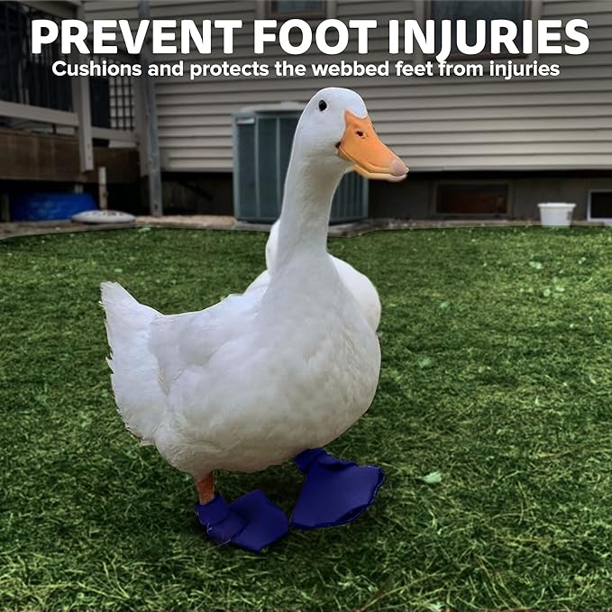 Duck Shoes for Injured Feet – Protective Neoprene Footwear for Ducks, Protective Shoes for Birds with Injured feet, Bumblefoot Relief - Large, 4.5” Max. Inside Width - Navy