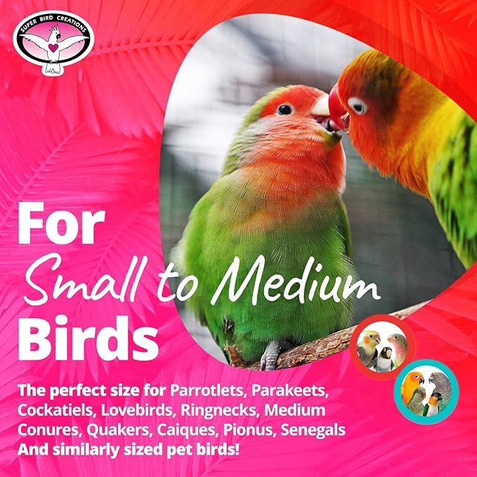 Super Bird Creations SB1085 Flower Power Bird Toy, Small/Medium Bird Size, Ideal for Cockatiels, Parakeets, and Parrots - 7" x 2.5" x 2"