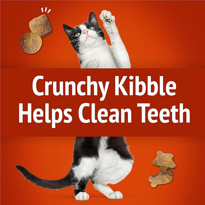 Purina Friskies Party Mix Gravy-Licious Crunch Chicken and Gravy Flavors Cat Treats - 30 oz Canister