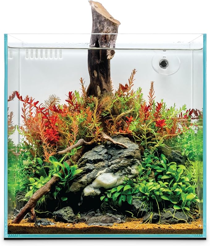 Ultum Nature Systems Rimless All in One Aquarium - Cube Fish Tank, Freshwater AIO Aquarium, Rimless Fish Tank w/Triple-Chamber Filter & White Background - 7 Gallon - 11.81" x 11.81" x 11.81" - 30A