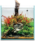 Ultum Nature Systems Rimless All in One Aquarium - Cube Fish Tank, Freshwater AIO Aquarium, Rimless Fish Tank w/Triple-Chamber Filter & White Background - 7 Gallon - 11.81" x 11.81" x 11.81" - 30A