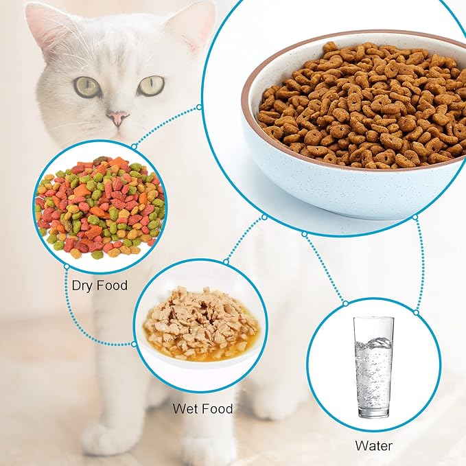 5.3 in Ceramic Cat Dishes - Shallow Food Bowls for Small Pets, 3 Pack for Food and Water - Blue