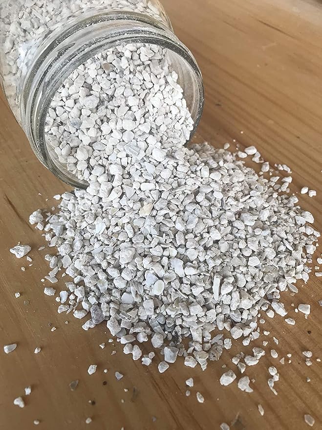 CZ Grain Calcium and Crushed Oyster Shells for Chickens - Grit for Chickens and Ducks (8 Pounds)