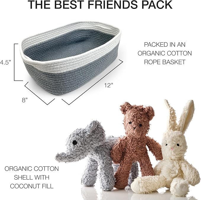 Plush Durable Cotton Dog Toys with Coconut Fill for All Pet Breeds, Bear Bunny Elephant (with Basket), One Size