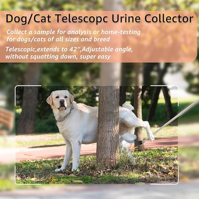 Dog Cat Urine Collector - Telescopic Urine Sample Catcher for UTI Test Kit,Dog Pee Stick for Veterinary Supplies.Dog Pregnancy Pee Test Kit(Basic Kit)