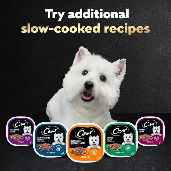 Cesar Filets in Gravy Adult Wet Dog Food Variety Package,Filet Mignon,New York Strip and Prime Rib Flavors,3.5 oz. Easy Peel Trays,Variety Pack,24 Count (Pack of 2)