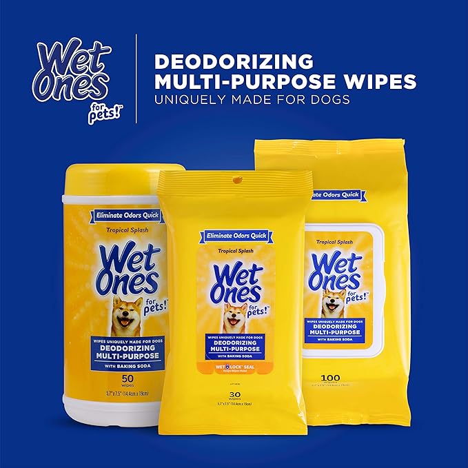 Wet Ones for Pets Deodorizing Multipurpose Dog Wipes with Baking Soda, Tropical Splash Scent - Desmellizing Wipes for Dogs with Wet Lock Seal, 100 Count - 12 Pack