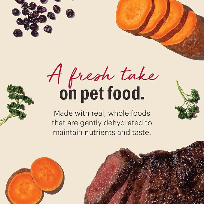 The Honest Kitchen Human Grade Wholemade™ Dehydrated Dog Food, Grain Free Beef Dog Food, 2 lb Bag