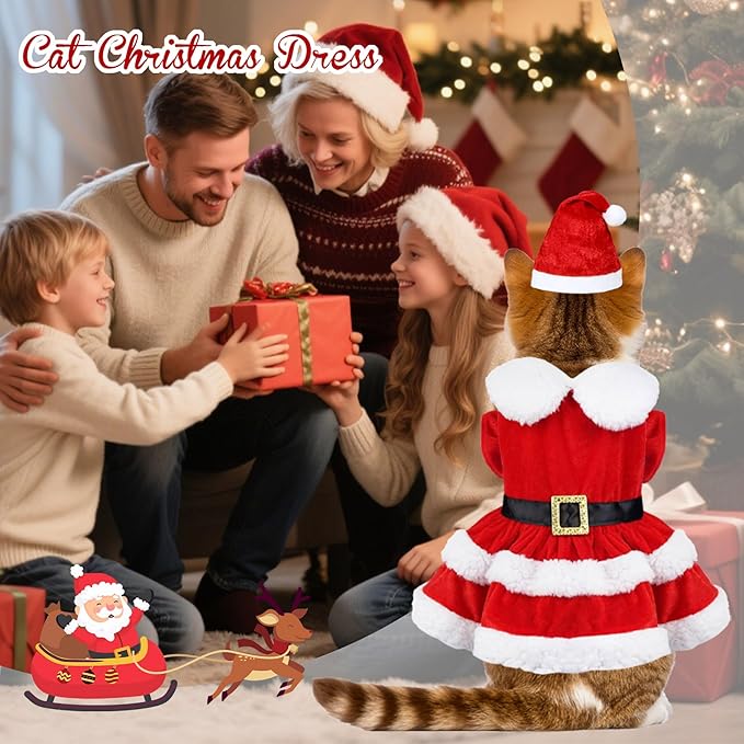 Cat Christmas Outfit Cat Christmas Dress with Santa Hat Costume Holiday Outfit Clothes for Cats Kittens Puppy (Small)