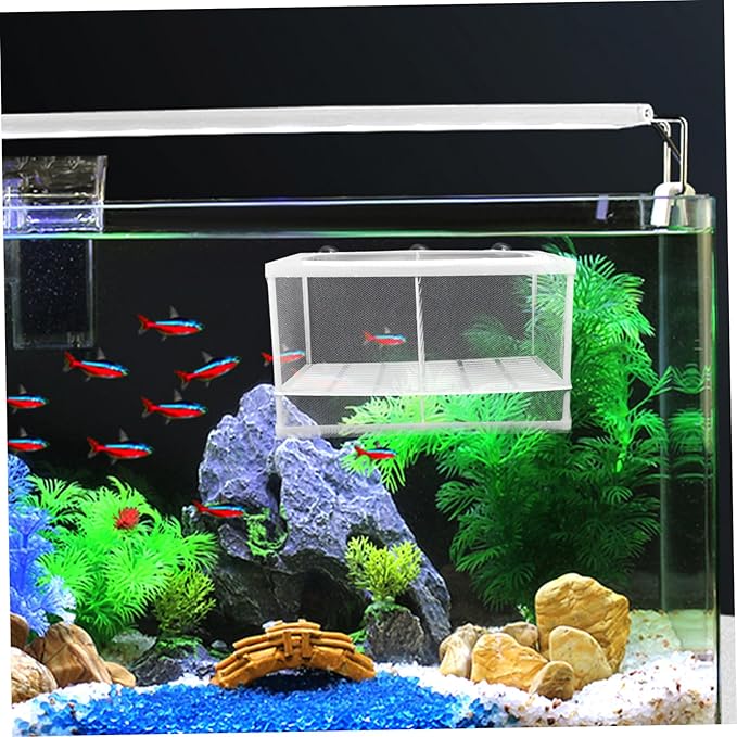 Happyyami Breeder Box for Fish Fish Breeding Tank Isolation Mesh Aquarium Box Partition Style