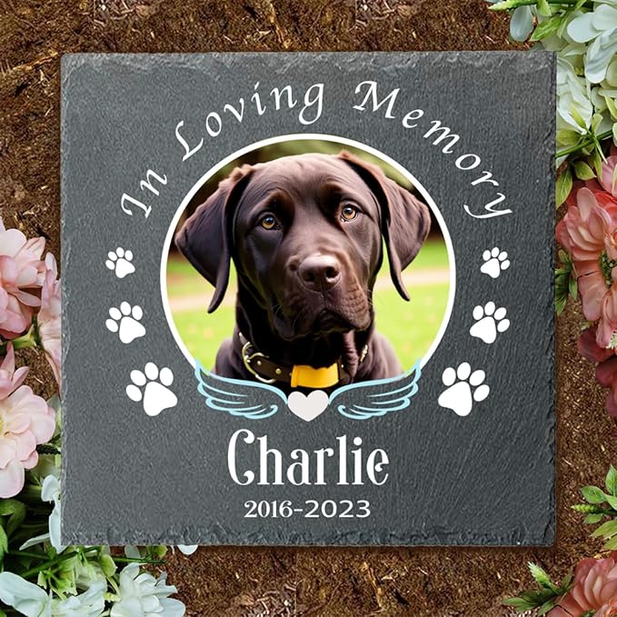 Alienc Personalized Pet Memorial Stone – Custom Dog & Cat Memorial Gifts for Loss, Outdoor Pet Grave Marker, Sympathy Keepsake for Dogs and Cats