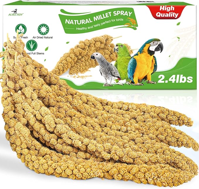 Millet for Birds 2.4LB, Natural Sun-Dried Millet Spray for Birds Seed No Stems Only Edible Tops for Parakeet, Budgies, Finches, Cockatiels, Parrots, Lovebird, Hamster and Other Pet Birds Bird Treat