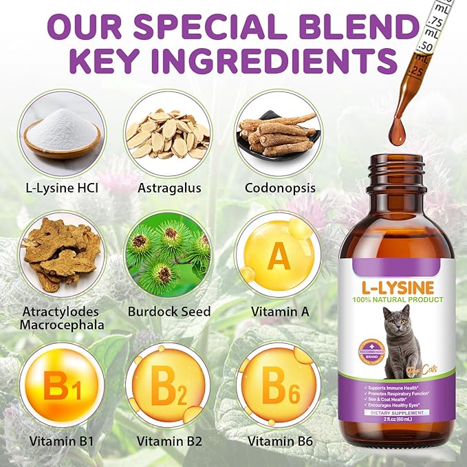 L-Lysine Drops for Cats, Lysine Supplement for Cats, Support Immune System, Respiratory Health & Eyes Function, Skin & Coat Health, Pets Health Supplies Cat Multivitamins, Chicken Flavor - 2 fl.oz