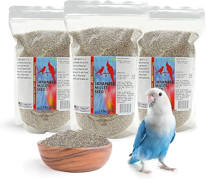 Morning Bird Japanese Millet Seed Bag 4.5 lbs (3-Pack, 1.5 lbs Each) - Healthy & Nutritious Pet Bird Food to Support Health & Immunity – Ideal Bird Feed for All Seed-Eating Birds