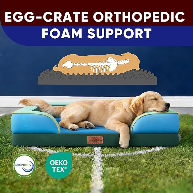 Comfort Expression Orthopedic Dog Bed for Extra Large Dogs 42x30 Inch, Waterproof Egg Crate Foam XL Pet Bed with Removable Bolsters, Dog Couch with Washable Cover & Non-Slip Bottom, Dallas