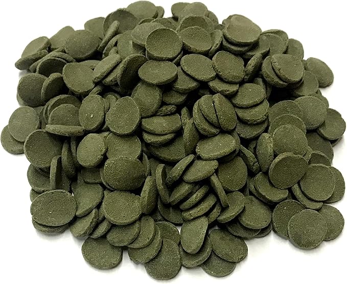 Medium 12mm Algae Wafer - Algae Wafers for Bottom Feeders - The Best Pleco Wafers & Pleco Food Available - Algae Wafers for Snails (5 lb)