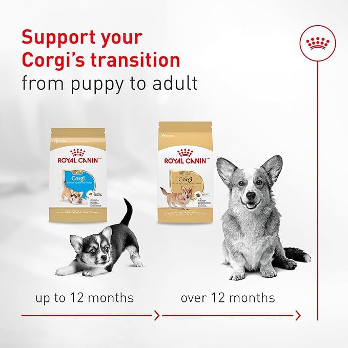 Royal Canin Corgi Puppy Dry Dog Food, Kibble for Corgis 2 to 12 Months, Supports Digestion and Bone and Joint Support 6 lb Bag