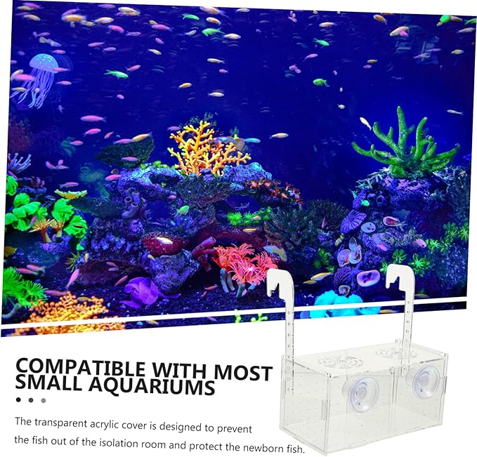 KESYOO Fish Breeding Box Cups Acrylic Isolation Tank for Fish Tank Lightweight and Portable Separator Breeding Accessory