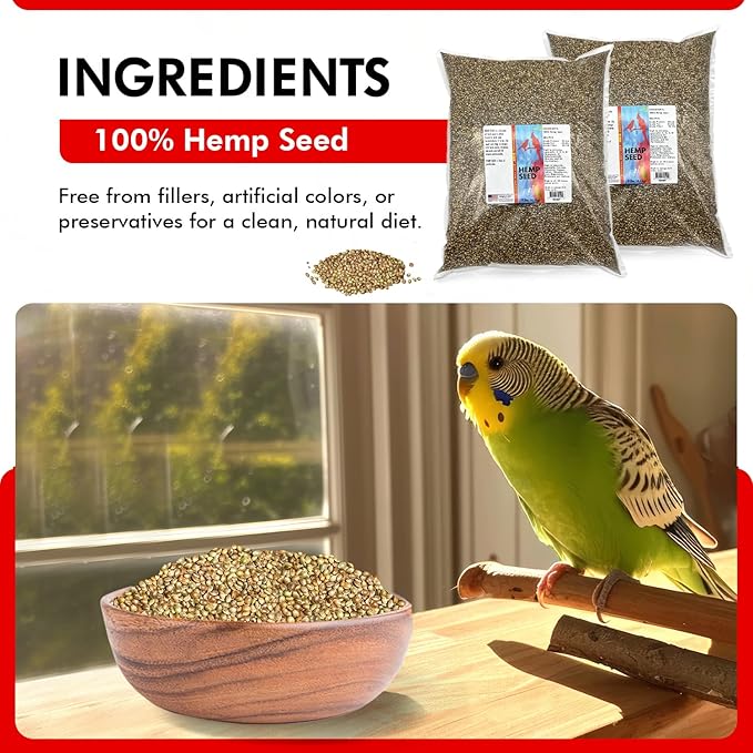 Morning Bird Hemp Seeds 18 lbs (2-Pack, 9 lbs Each) – High in Natural Protein, Healthy Fats, Omega 3 and 6 Fatty Acids, Delicious Natural Flavor, Supports Feather Growth & Overall Health