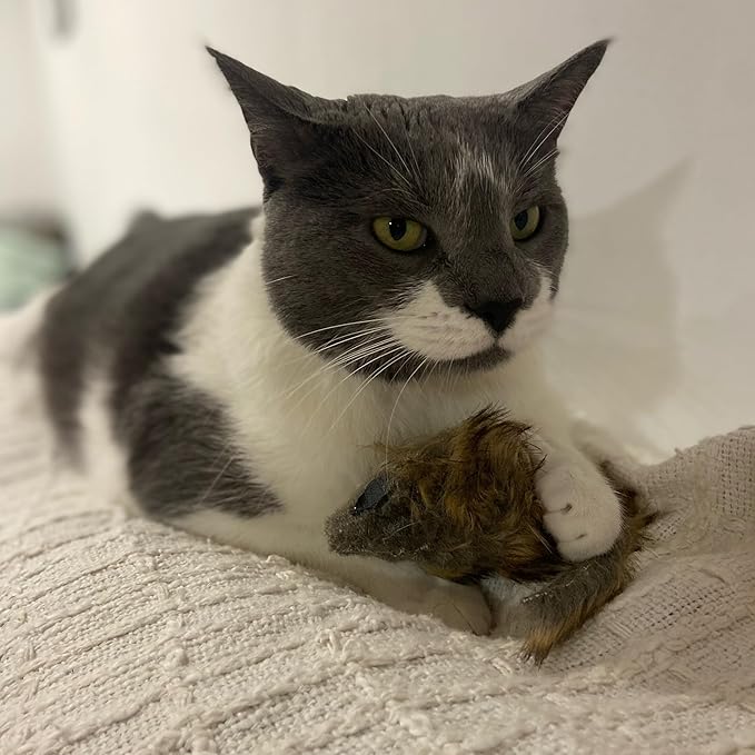 SPOT Shaggy Plush Giant Mouse - Cat Toy, Fuzzy Mice with Catnip and Rattle Toy for Indoor Cats and Kittens, Perfect Size for Pouncing on, Chasing, Hunting - 8.5in, 1 Piece
