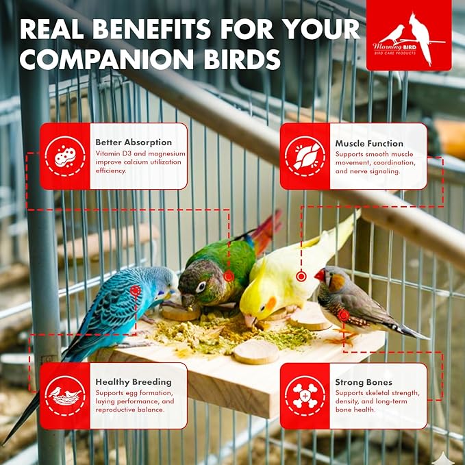 Morning Bird Calcium Plus Powder for Birds 4.5 oz – Calcium Supplement with Vitamin & Protein Powder – Supports Bone Health, Muscle Function & Digestive Balance – Easy-to-Mix Calcium Formula