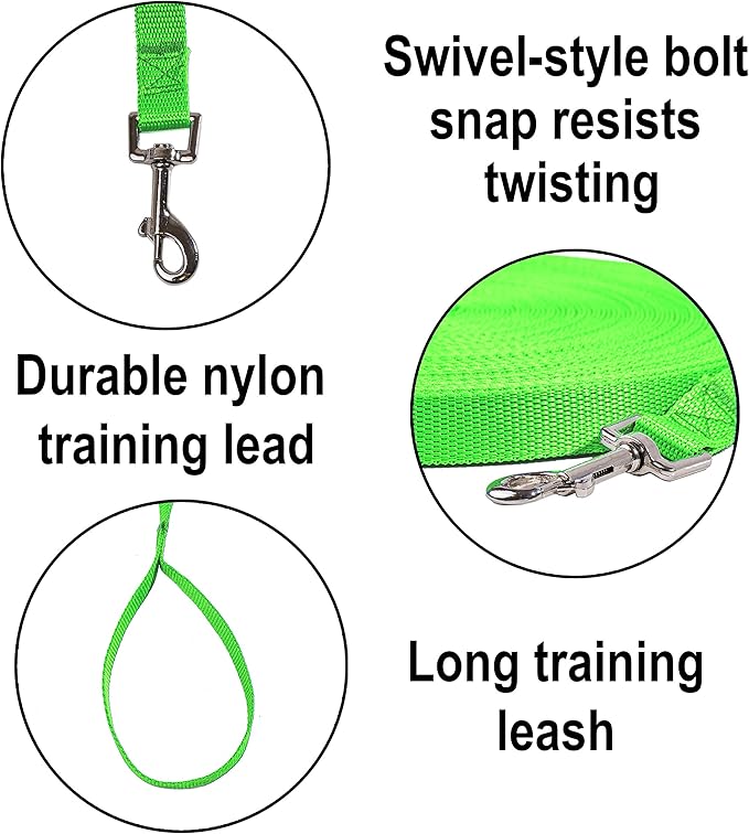 Hi Kiss Dog/Puppy Obedience Recall Training Agility Lead - 15ft 20ft 30ft 50ft 100ft Training Leash - Great for Training, Play, Camping, or Backyard (30 Feet, Green)