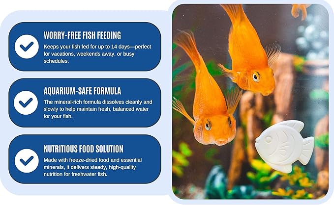 Vacation Feeder for Aquarium - 14 Day Feeder Block - Slow Release Fish Food for Betta, Goldfish & Tropical Fish - Aquatic Pet Tank Food (2 Packs of 2 Blocks)