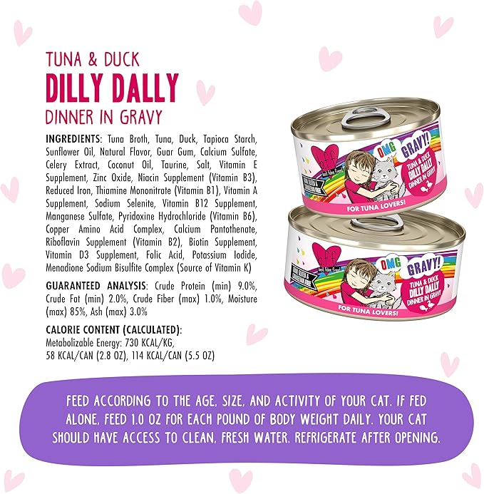 Weruva B.F.F. OMG - Best Feline Friend Oh My Gravy!, Tuna & Duck Dilly Dally with Tuna & Duck, 2.8oz Can (Pack of 12)