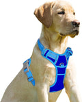 BARKBAY No Pull Dog Harness Front Clip Heavy Duty Reflective Easy Control Handle for Large Dog Walking(Sapphire Blue & Blue,XL)