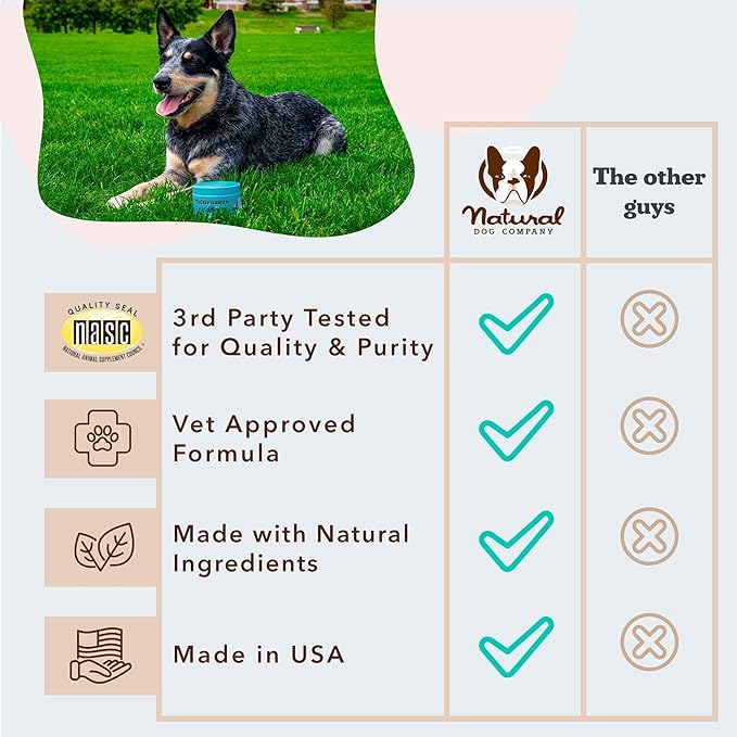 Natural Dog Company 25-in-1 Multivitamin for Dogs – Vet-Formulated Soft Chews for Puppies, Adults & Seniors, Supports Joints, Skin, Coat, Immune & Heart Health, NASC Certified, 180 Count