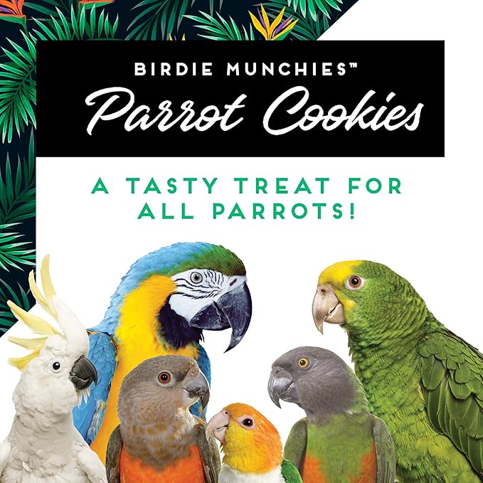 Oven Fresh Bites Natural Baked Treats, All-Natural Bird Treat Parrot Cookies, 4 Oz, Almond, 3-Pack