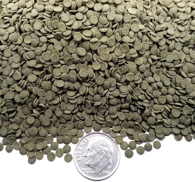 Aquatic Foods Inc. 3.5mm - 1/8" Spirulina, Algae & Veggies, Sinking Micro Wafers for Bottom Fish, Shrimp, Crabs, Crayfish, All Tropical Fish…2-lb Med Jar
