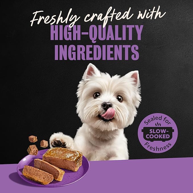 Cesar Classic Loaf in Sauce Adult Wet Dog Food Filet Mignon, 3.5 oz. Easy Peel Trays, 24 Count (Pack of 1)