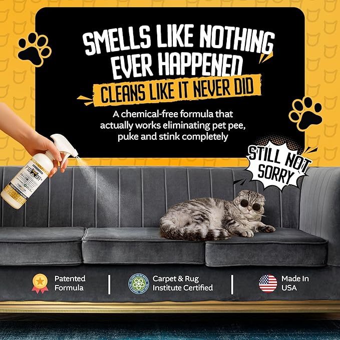 P*SS OFF+ All Purpose Stain and Odor Remover - Professional Strength Cat Pee Odor Eliminator, Deodorizer for Pet Urine & Poop, Carpets, Upholstery, Leather, Non Toxic Air Freshener for Home - 32 Oz