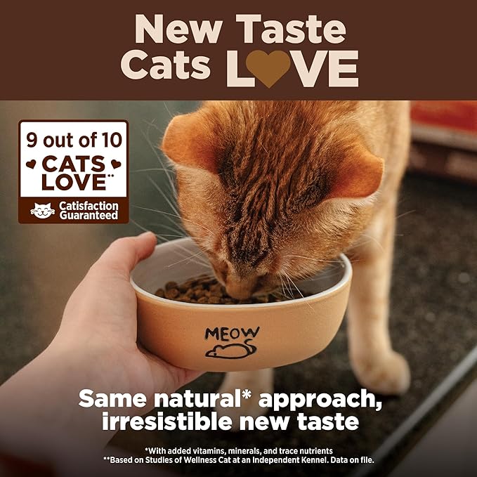 Wellness CORE Kitten Dry Cat Food for Indoor & Outdoor Cats, Grain Free, Natural, Original Turkey, Turkey Meal and Chicken (5 Pound Bag)