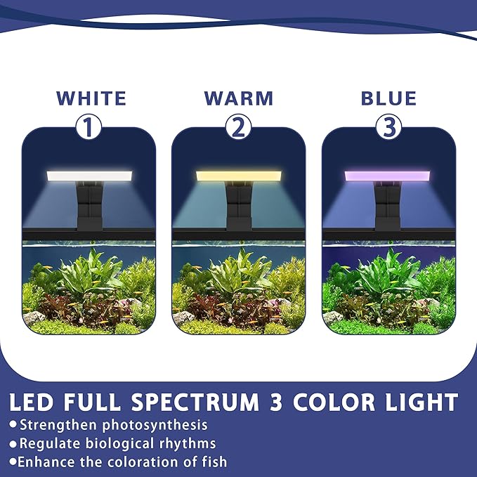 5.3 Gallon Fish Tank, 9 in 1 Betta Fish Tank, Aquarium with LED Full Spectrum 3 Color Light, 3 Modes Filter, Hydroponic Basket, Fishing Net, Shells, Aquatic Plant, Pebbles, Coral, Starter Kit (Black)
